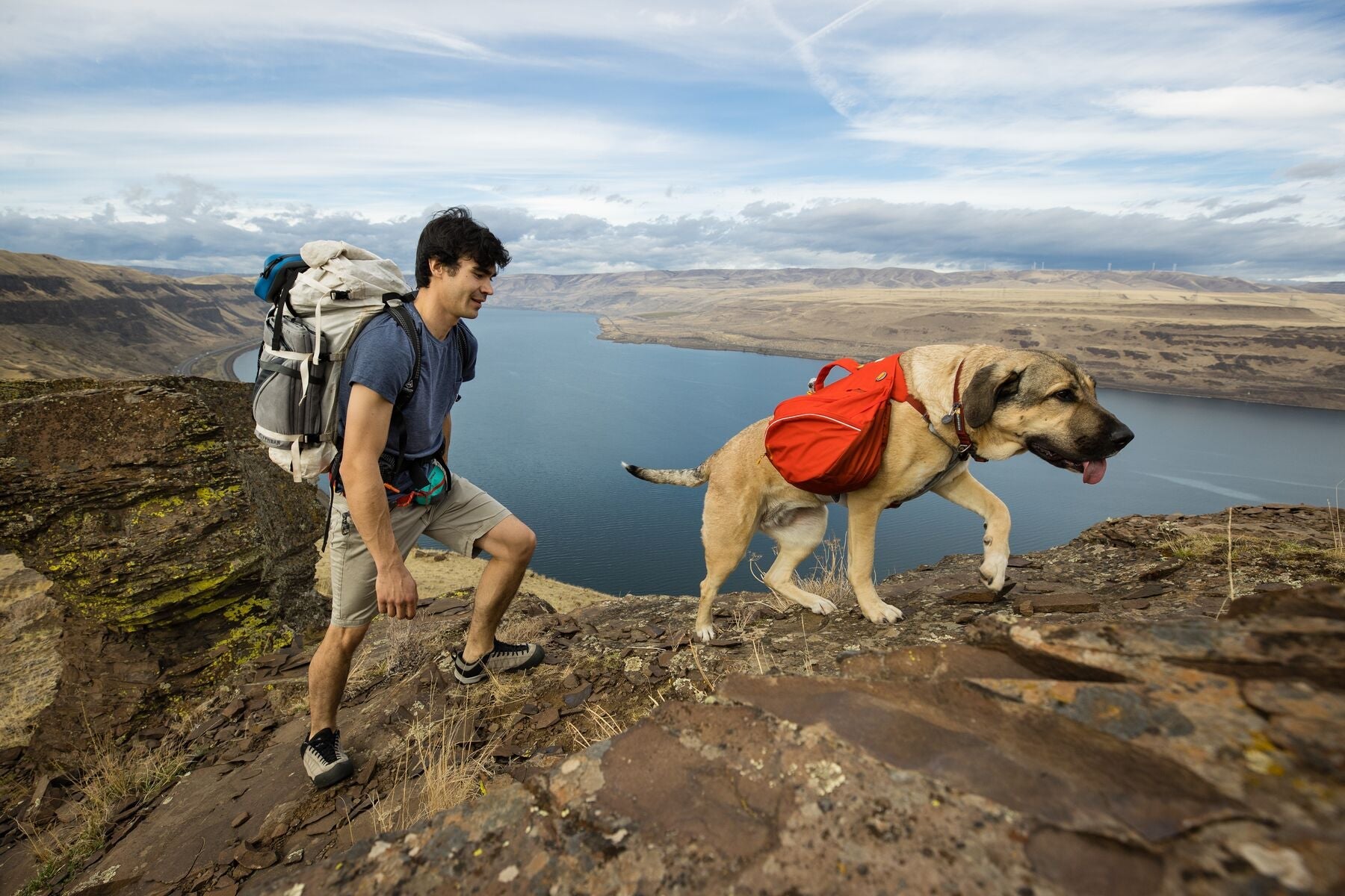 Backcountry camping with dogs 2025