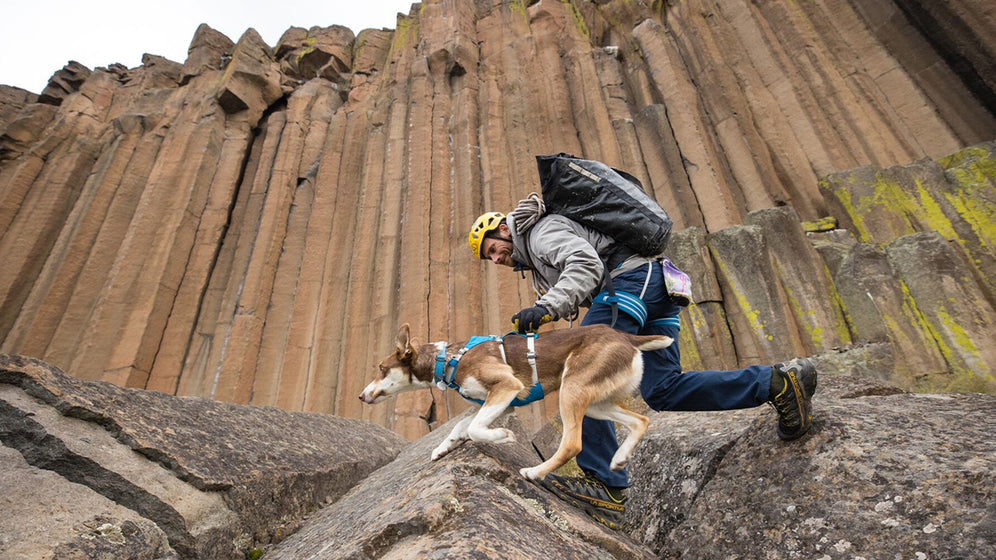 About the Flagline™ Harness Video Thumbnail