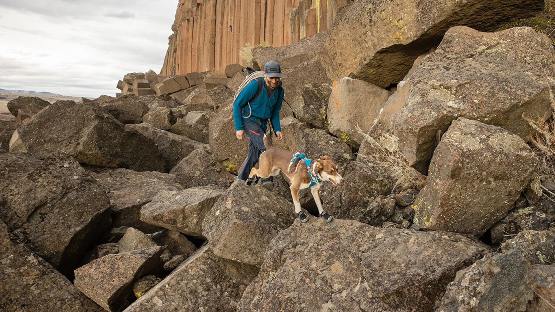 Granite gear best sale dog booties