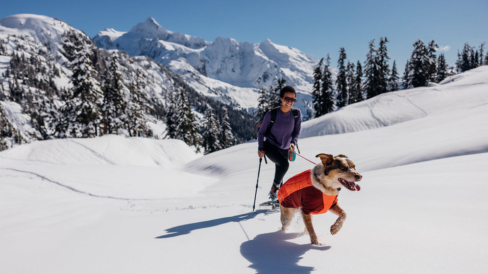 Über die Powder Hound™ Hundejacke Video Thumbnail