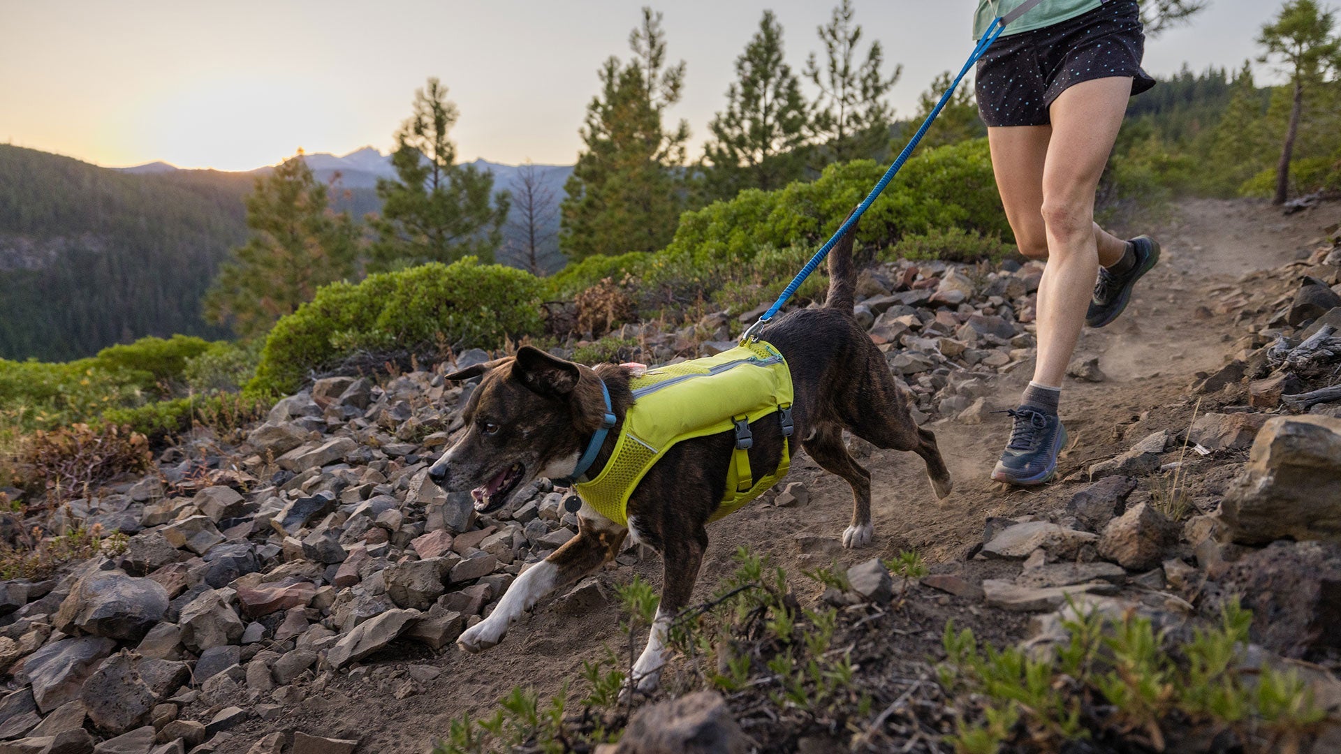 Trail Runner Dog Lead for Running Ruffwear