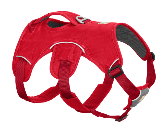 Avalanche 2024 dog harness