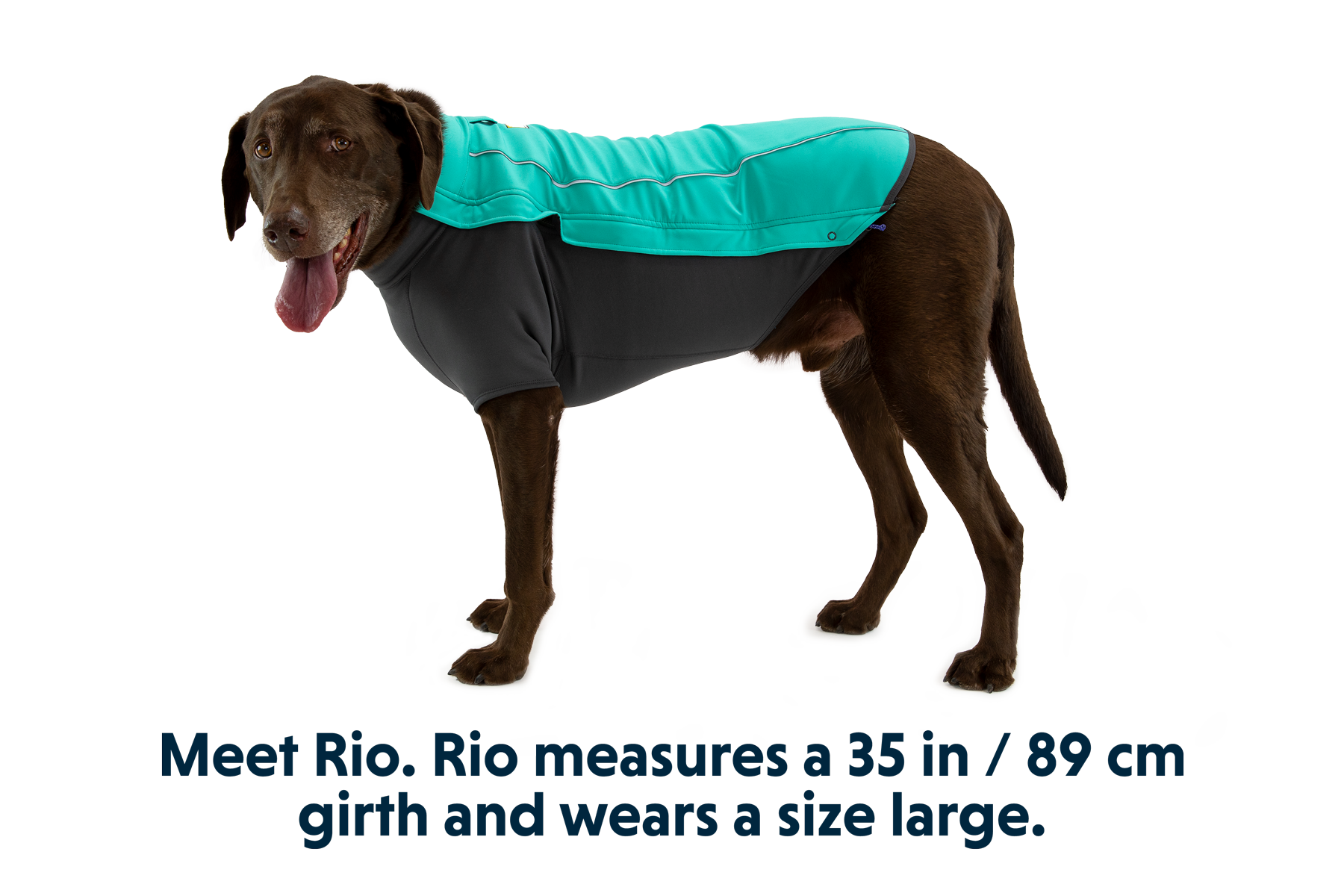 Ruffwear cloud chaser 2024 jacket