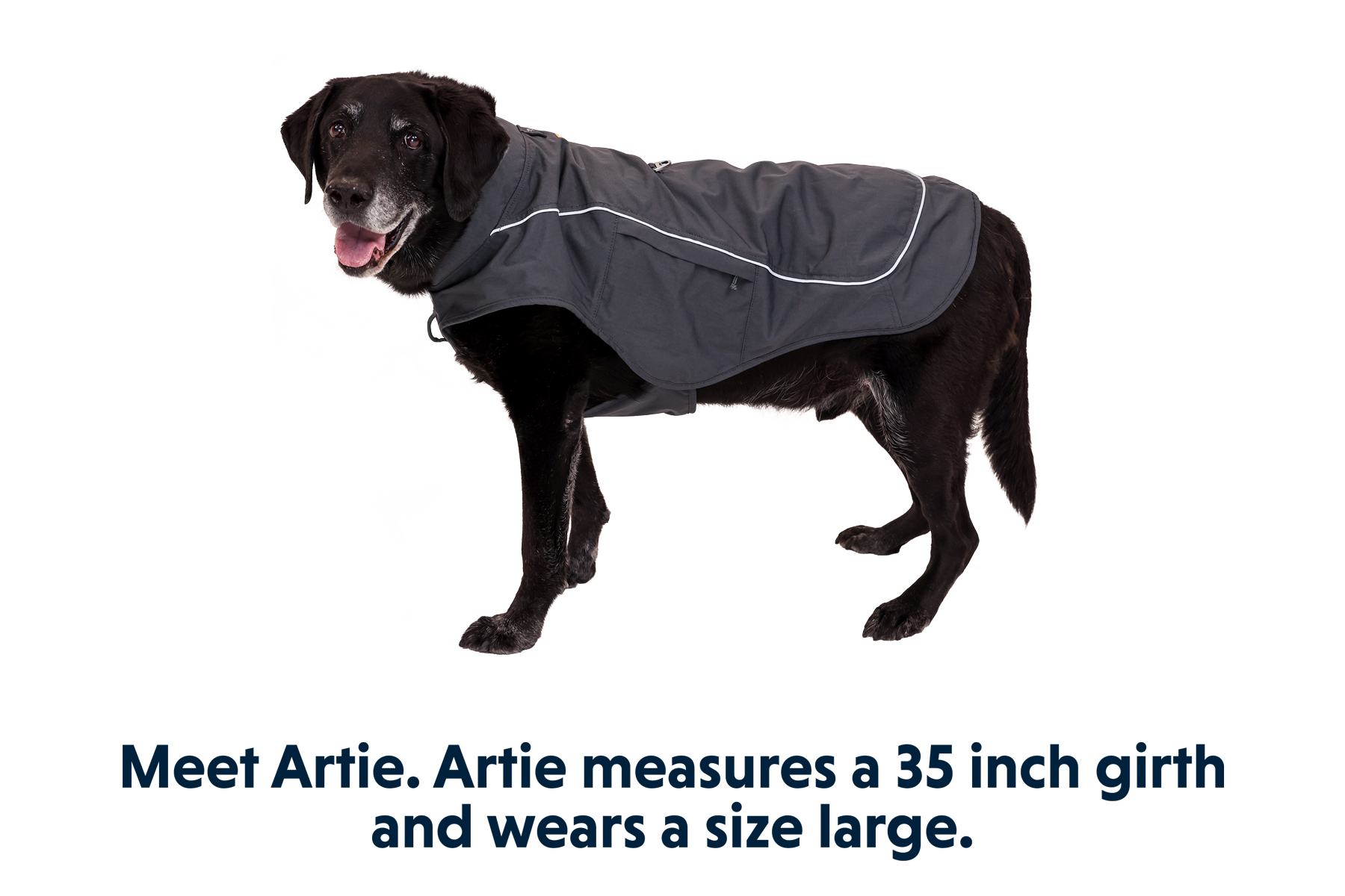 Overcoat Fuse Dog Jacket Ruffwear