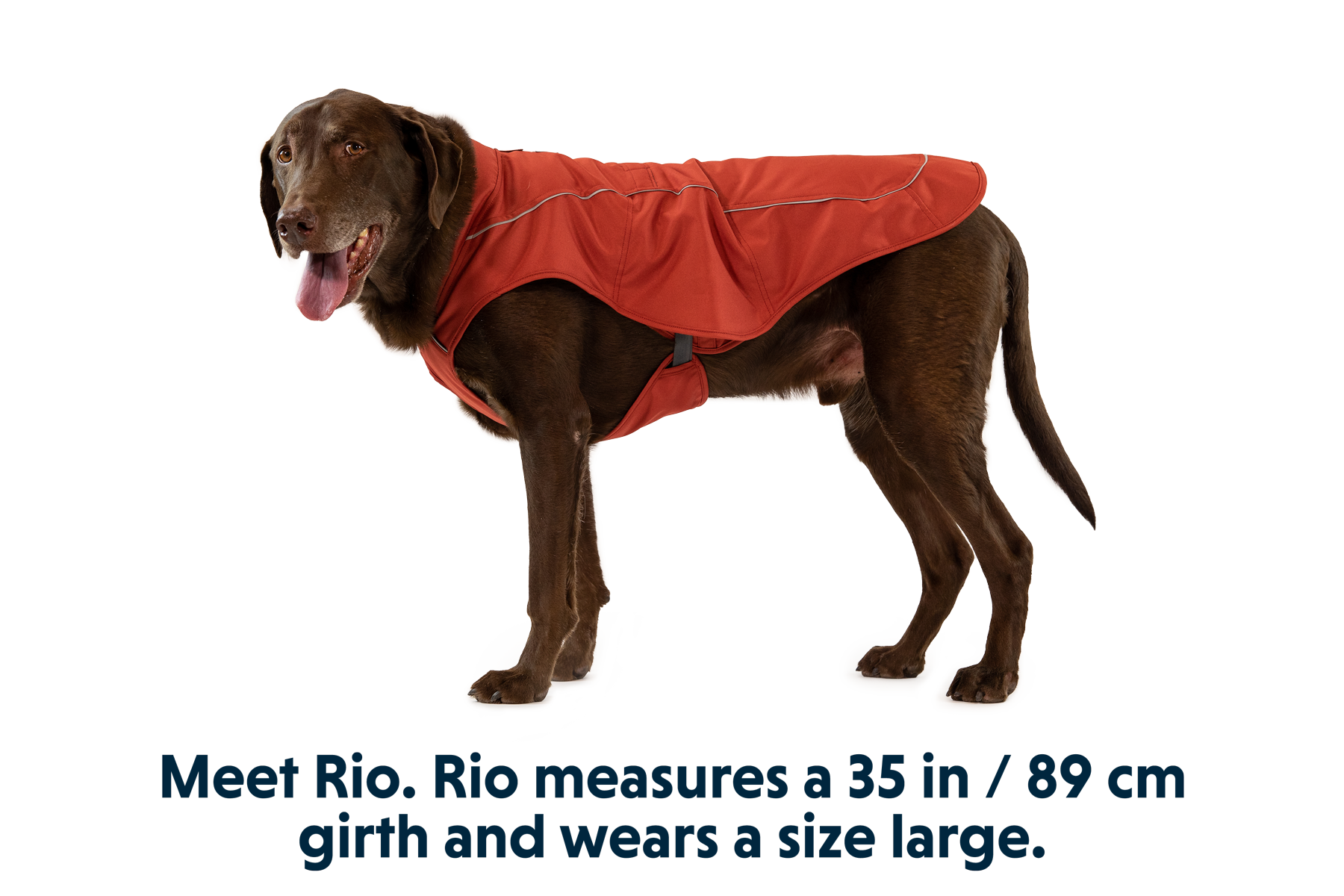 Ruffwear jacket shop