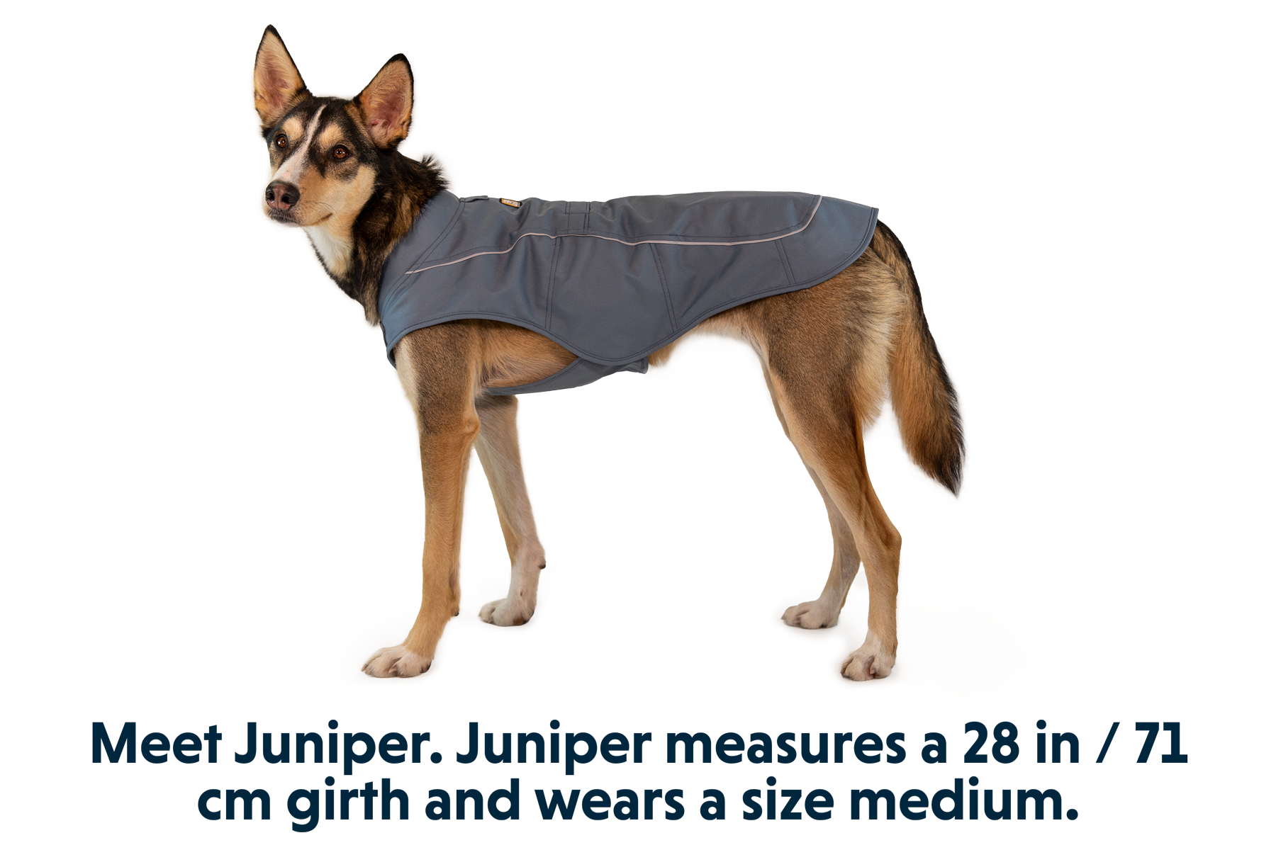 Overcoat™ Dog Jacket | Ruffwear UK