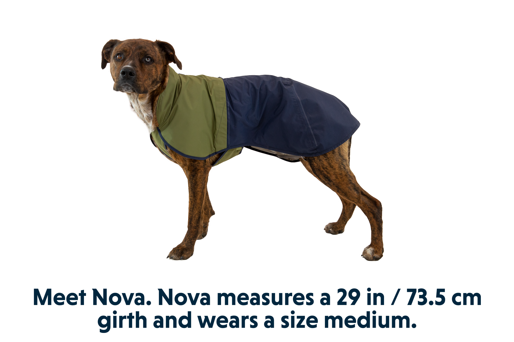 Sun Shower Dog Raincoat Waterproof Jacket for Dogs Ruffwear