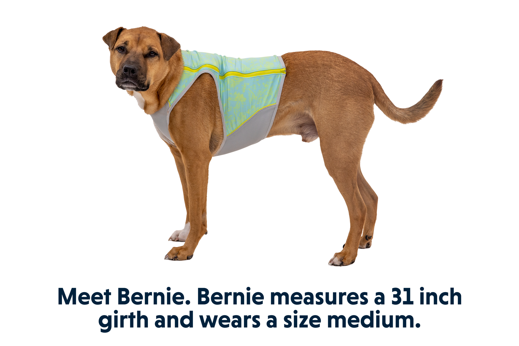 Ruffwear swamp cooler sizing 2025