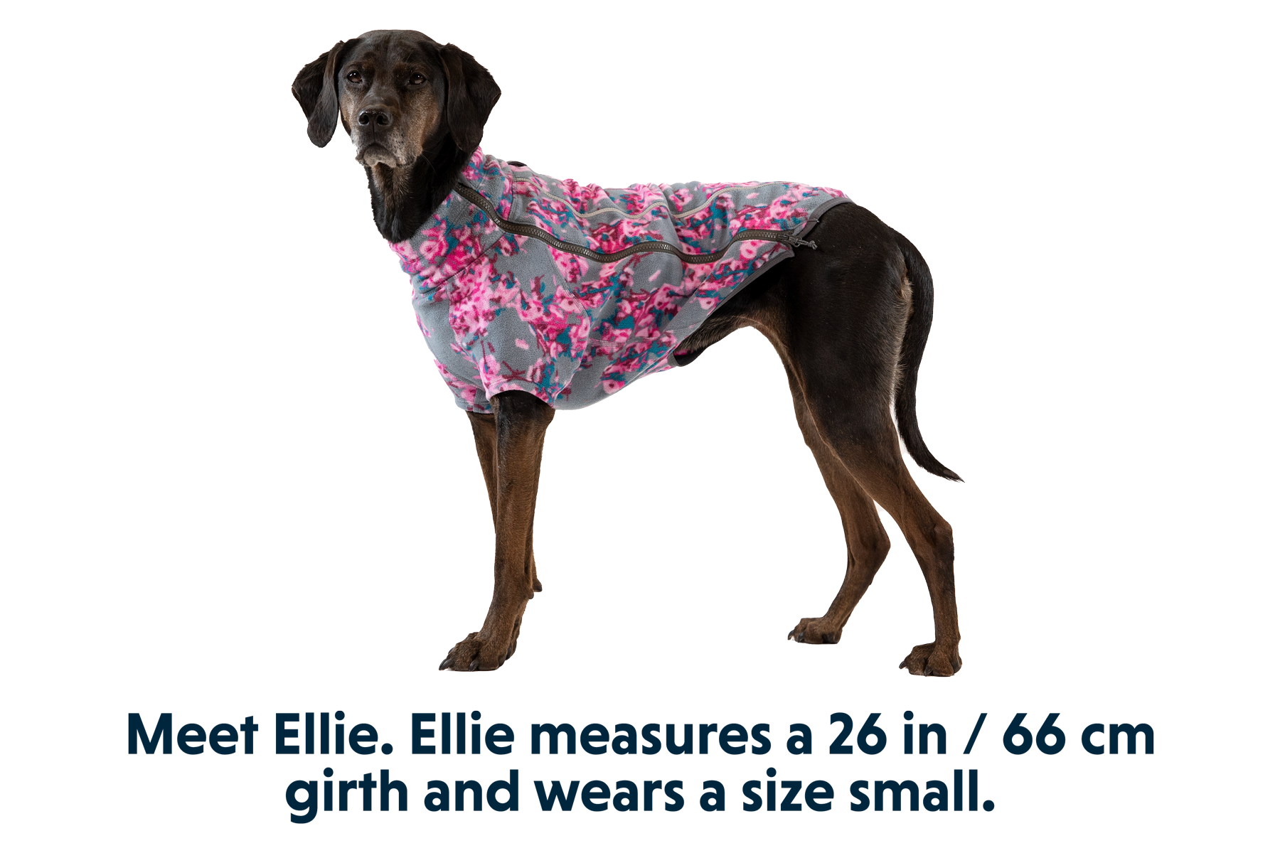 Climate Changer Dog Fleece Sweater Ruffwear