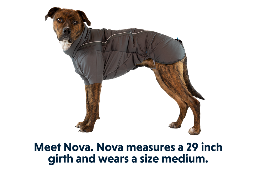 Furness Dog Jacket Ruffwear