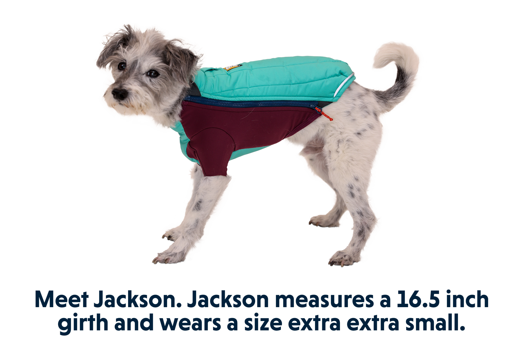 Ruffwear powder hound medium new arrivals