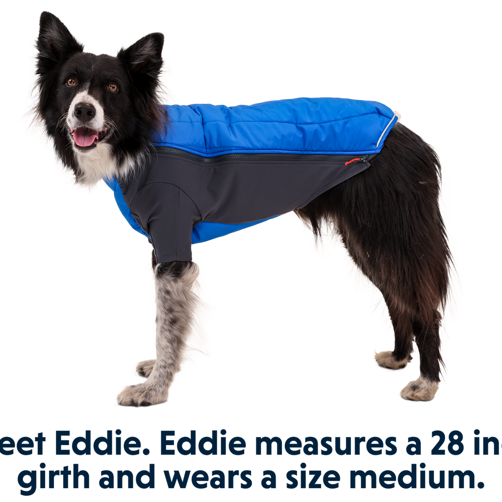 Powder Hound™ Dog Jacket Ruffwear