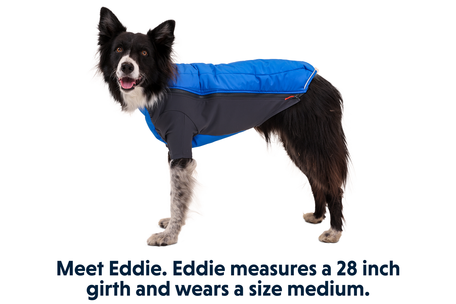 Regenmantel Hund Ruffwear Schwimmweste Für Hunde Ruffwear Float Coat