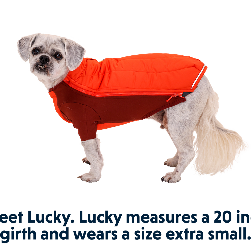 Ruffwear Harness Ruffwear Powder Hound Extra Warm Winter Dog