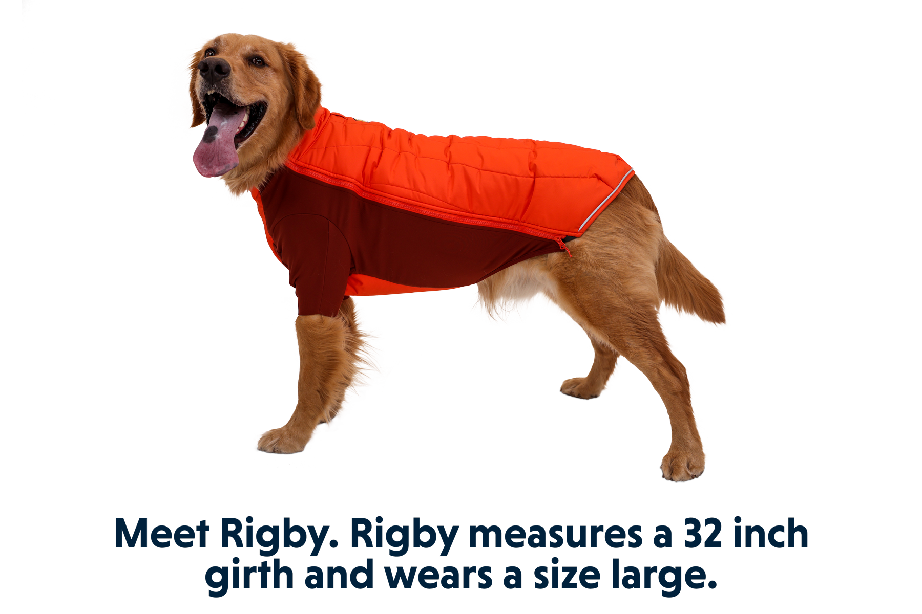 Powder Hound Dog Jacket