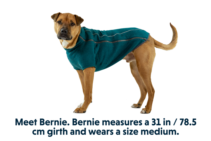 Ruffwear fernie best sale fleece dog jacket
