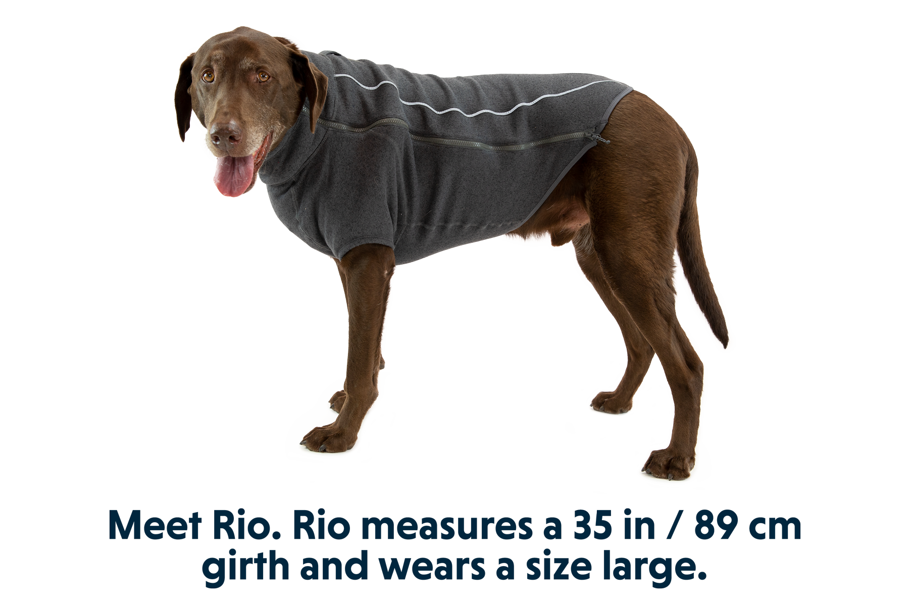 Ruffwear fernie dog hotsell coat