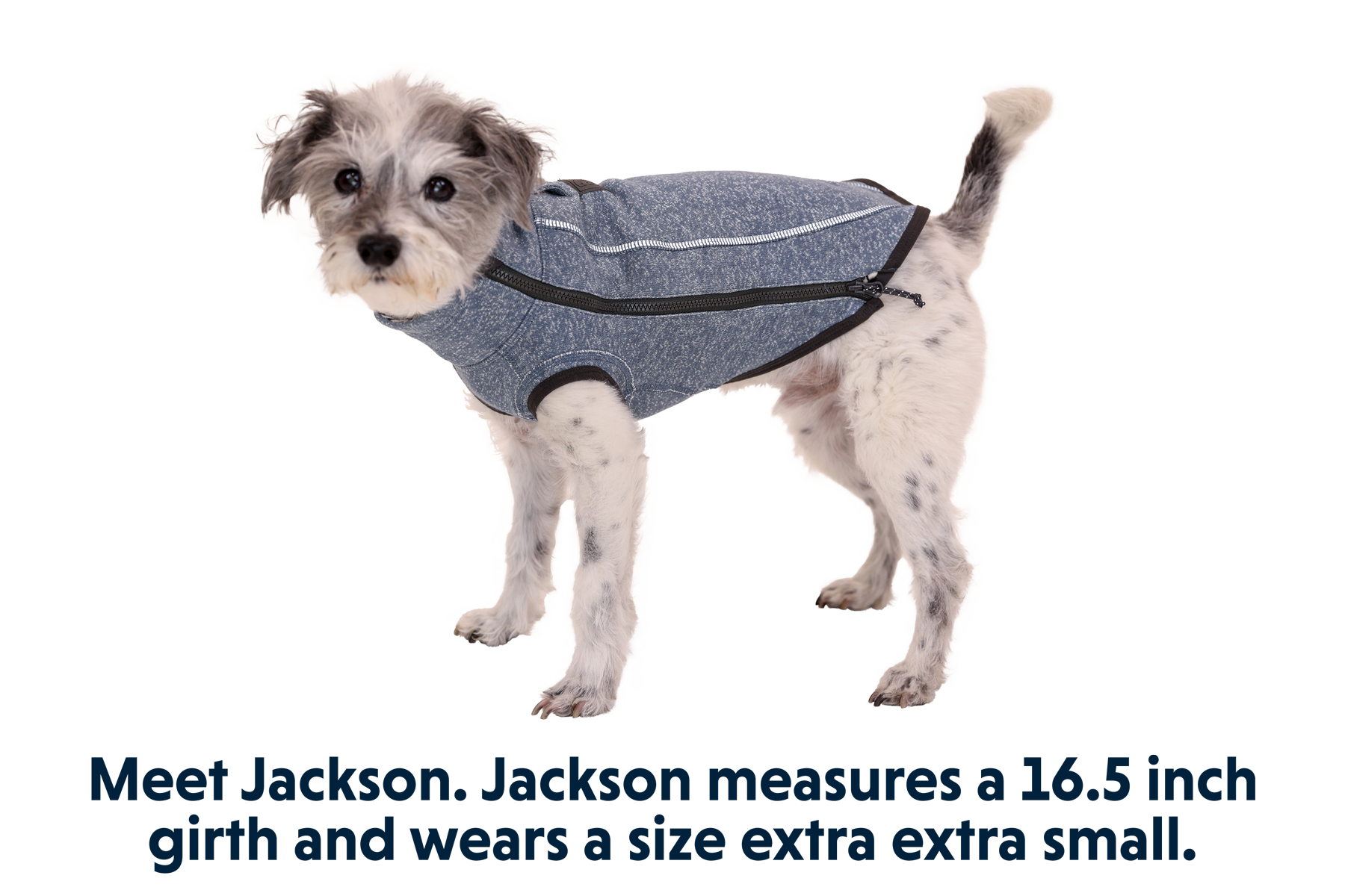 Hemp Hound Dog Sweater Ruffwear