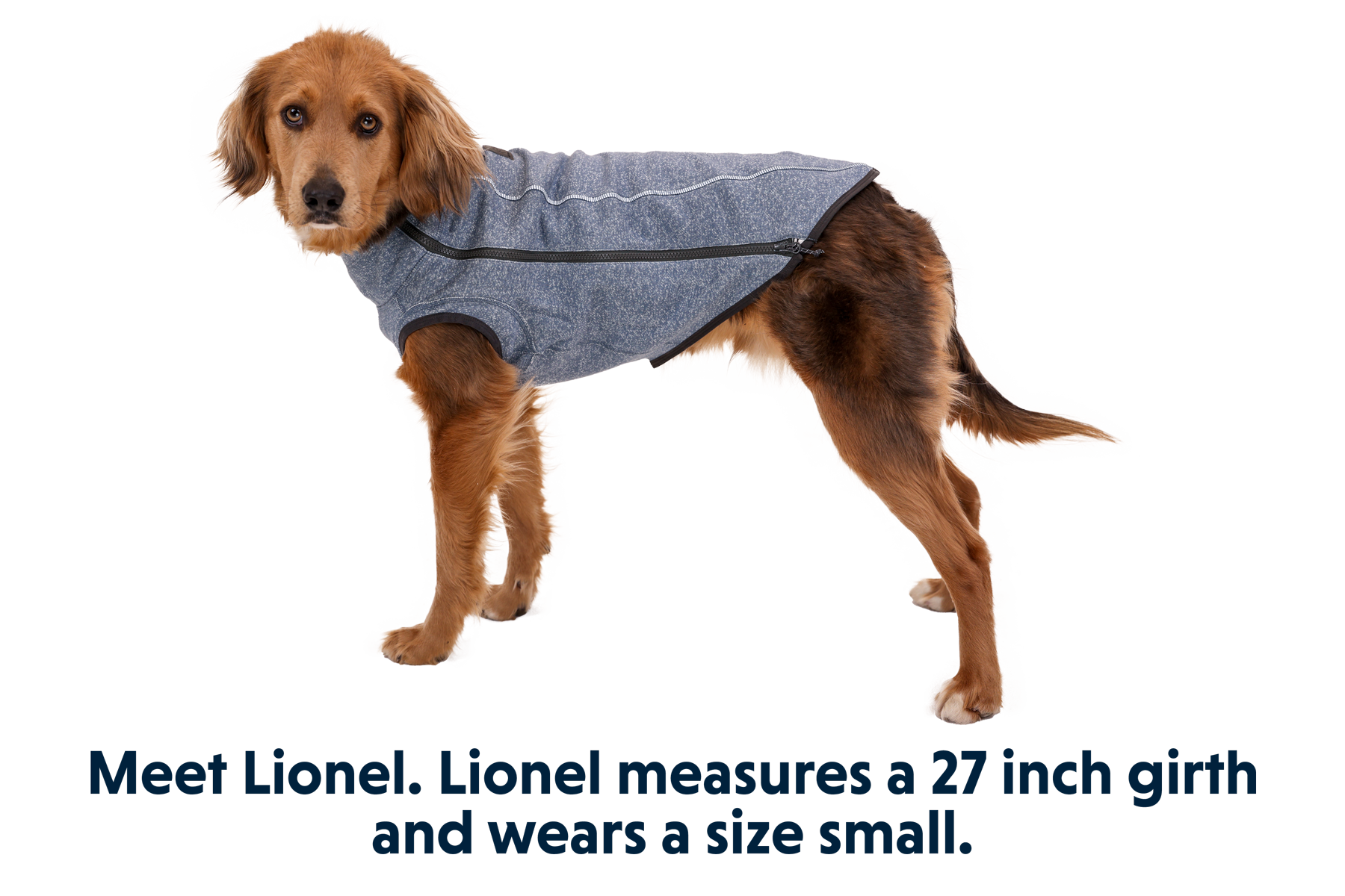 Hemp Hound Dog Sweater Ruffwear