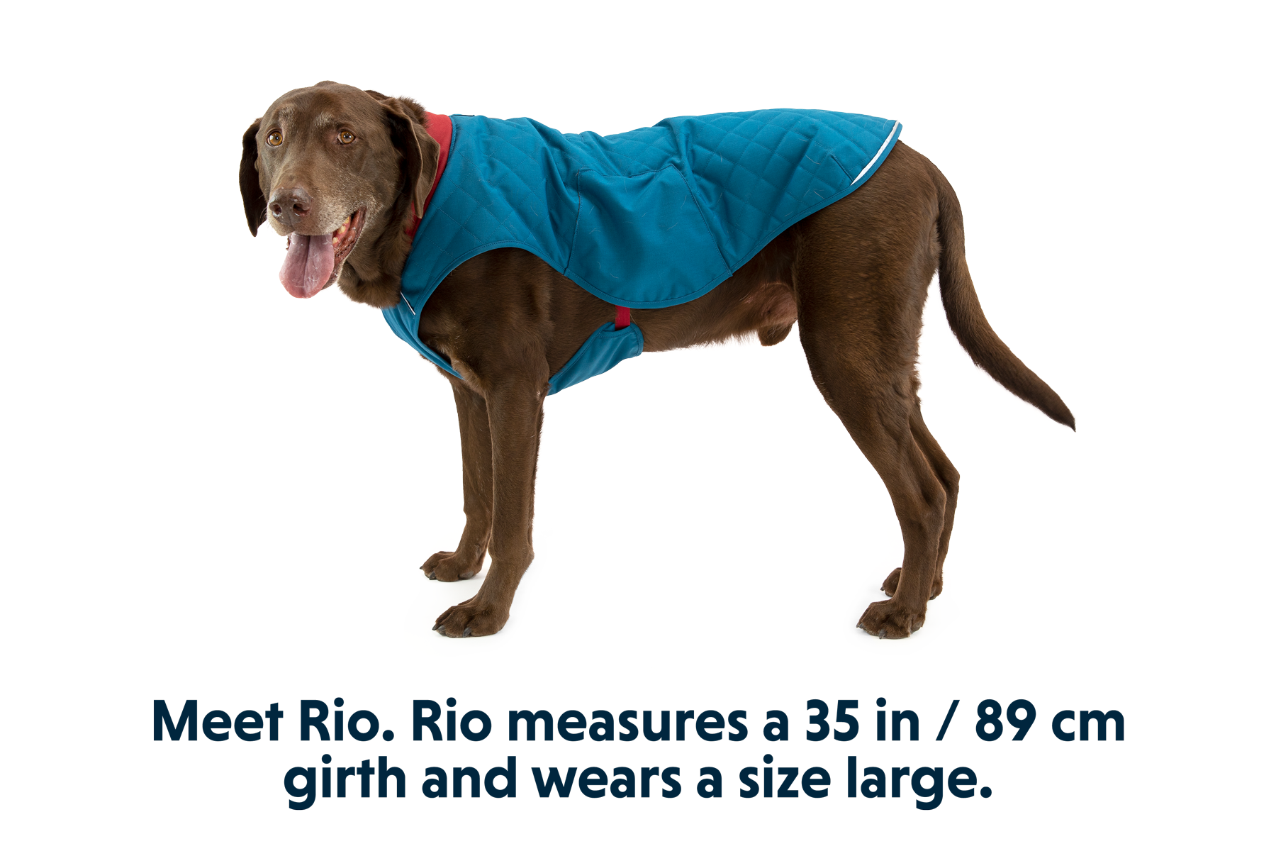 Ruffwear stumptown jacket online