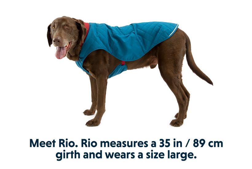 Stumptown Quilted Dog Coat Ruffwear