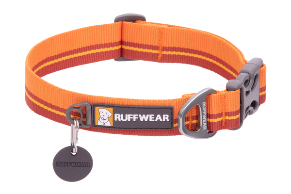 Orange hotsell puppy collar