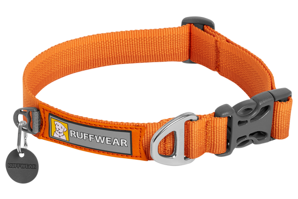 Avalanche reflective dog collar best sale