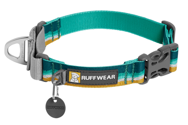 Buy dog collar online best sale