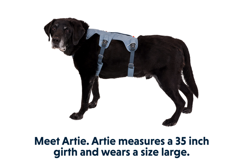 Ruffwear online webmaster sizing