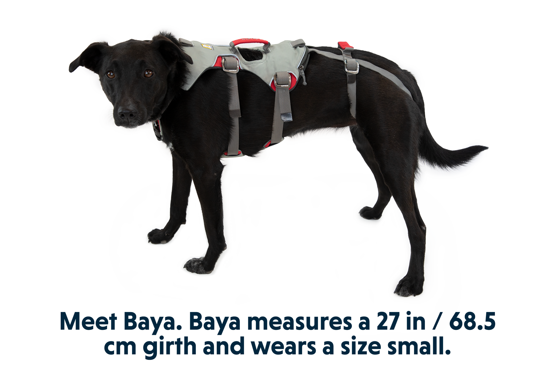 Ruffwear doubleback harness top