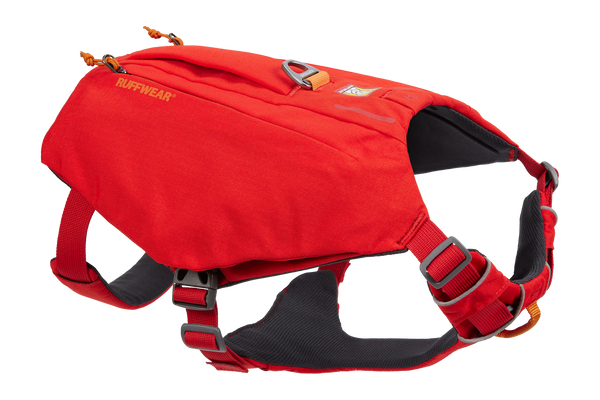 Hydration Gear For Your Dog Ruffwear