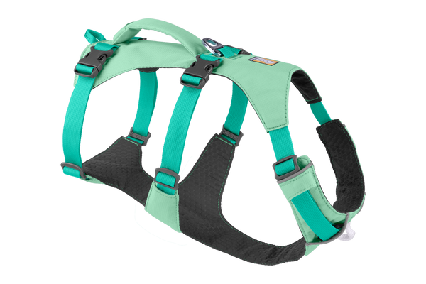 Buy dog harness clearance online