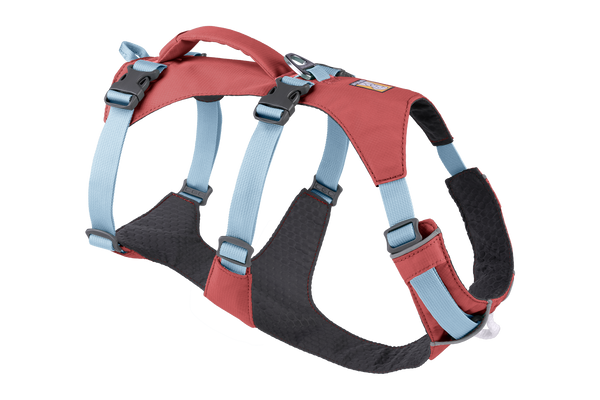 Buy dog harness online best sale