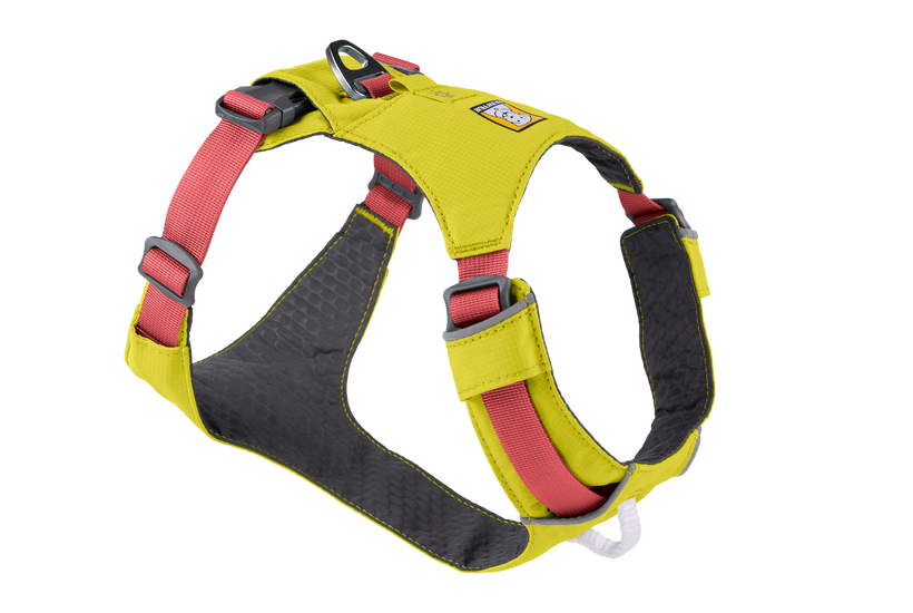 Hi vis sales harness for dogs