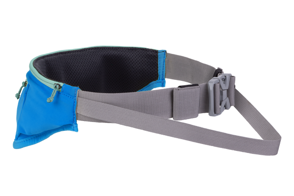 Dog run deals and leash system