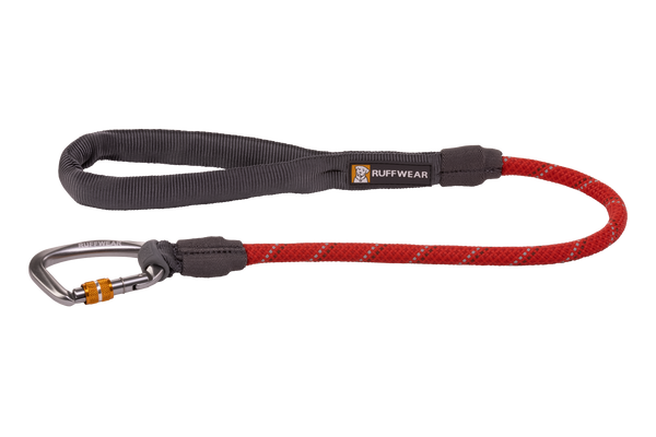 Dog rope deals leash