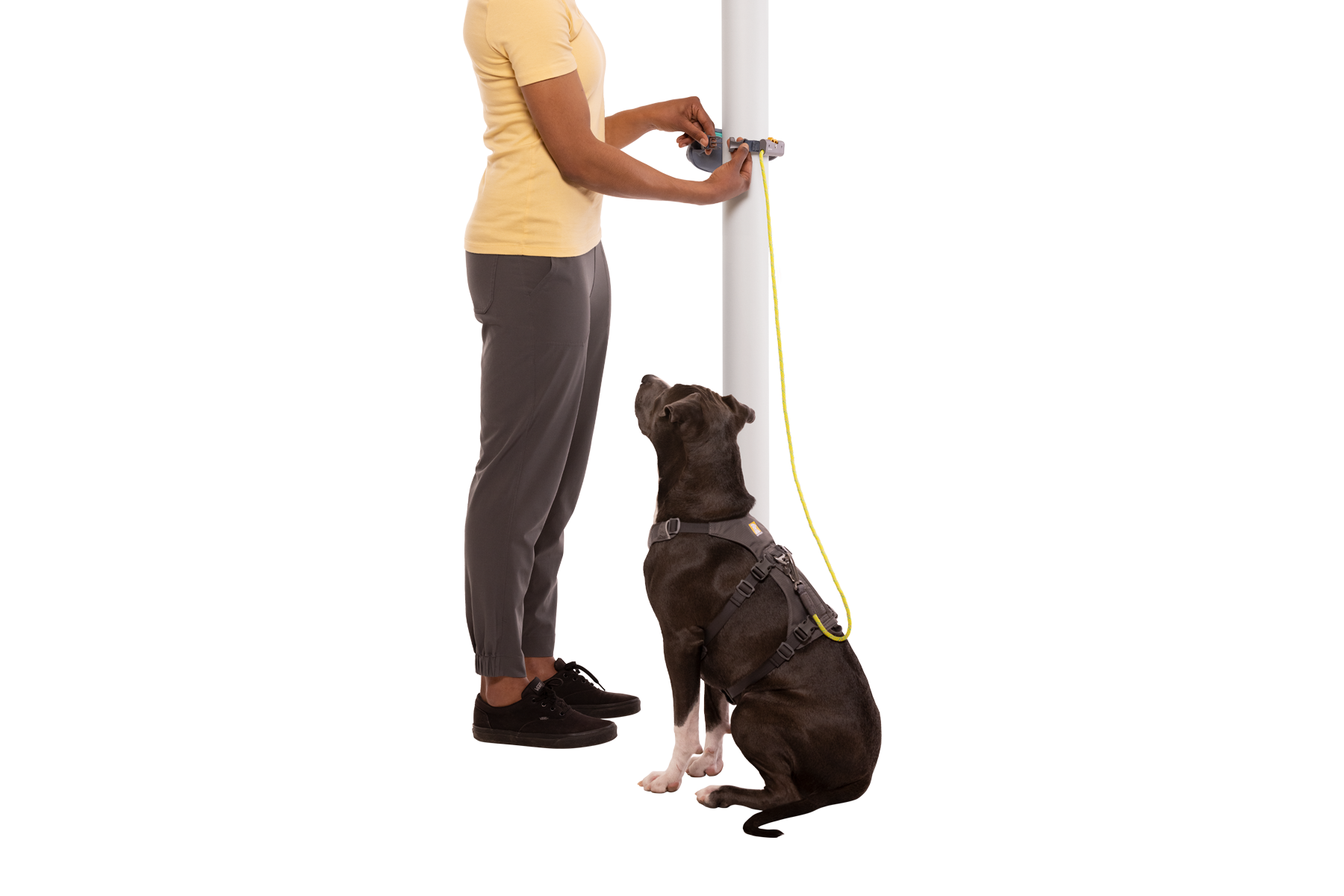 Hitch Hiker Dog Lead Ruffwear