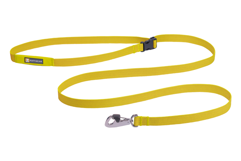 Cheap dog online leashes near me