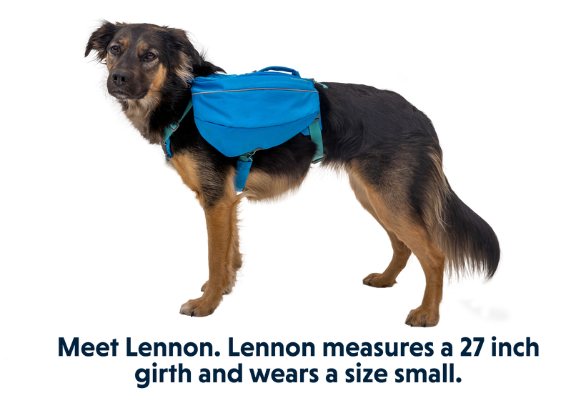 Bark dog backpack clearance