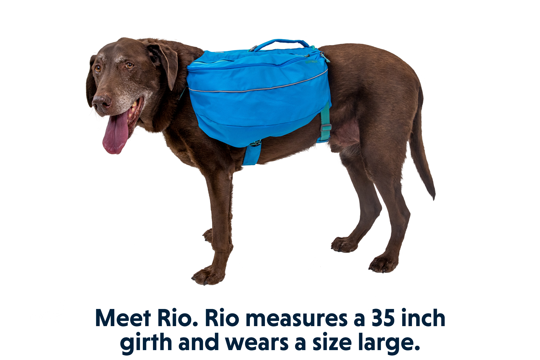 Approach Dog Backpack Pack for Dogs Ruffwear