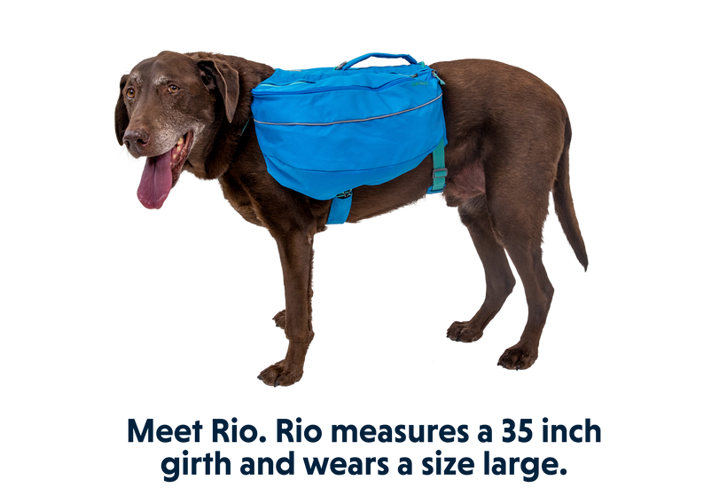 Dog online weighted backpack
