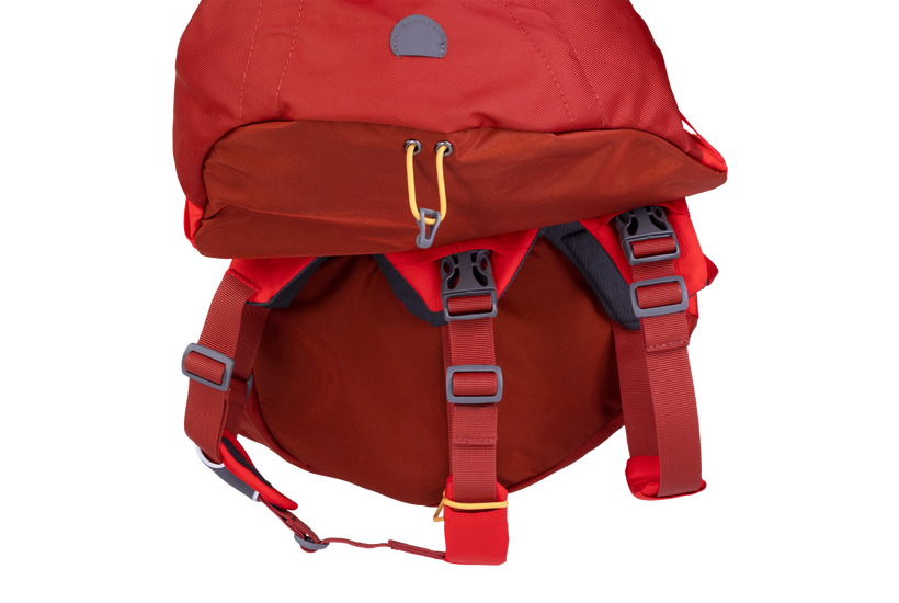 Osprey online dog pack