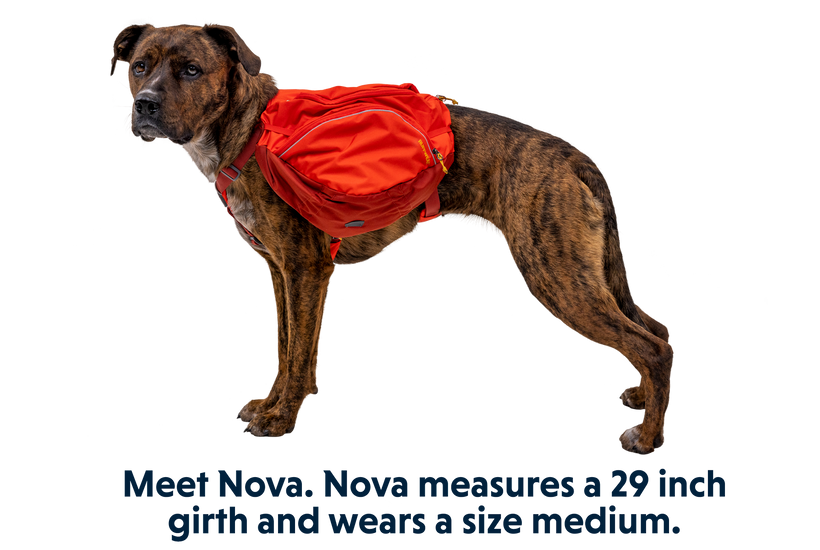 Palisades Dog Backpack Durable Multi Day Backcountry Ruffwear