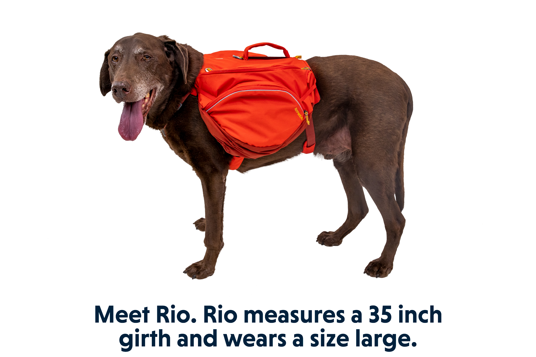 Palisades Dog Backpack Ruffwear