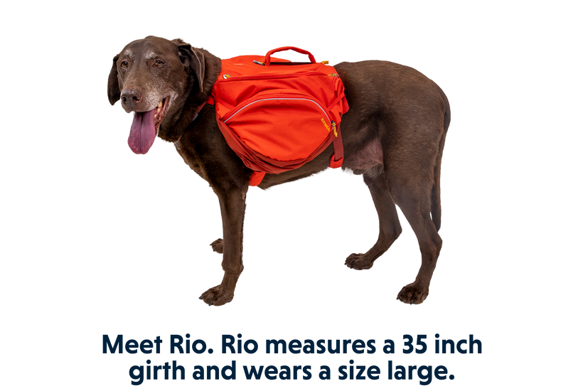 Dog backpack shop reviews