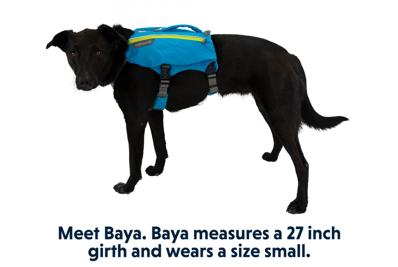 Dog water discount backpack
