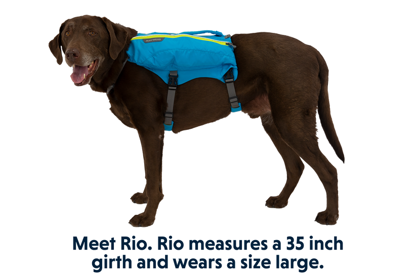 Singletrak Dog Hydration Pack Ruffwear