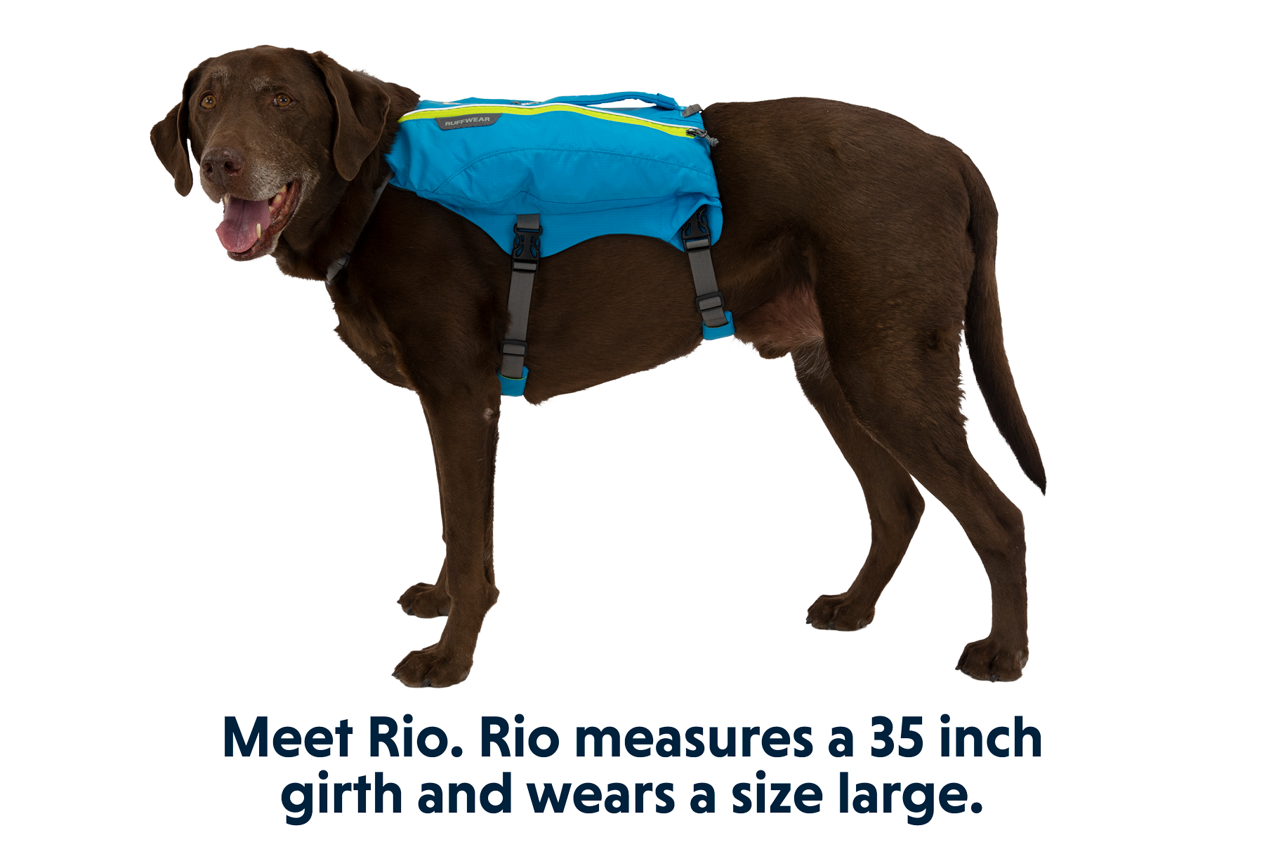 Ruffwear online hiking pack
